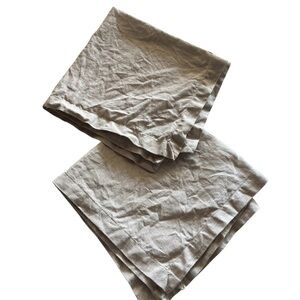 Unbranded Set of Two Oatmeal Tan Linen Napkins